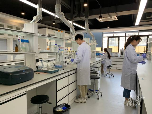 开元网页版_开元(中国)“攀峰班”学生在开展实验探究。 开元网页版_开元(中国)“攀峰班”学生在开展实验探究。